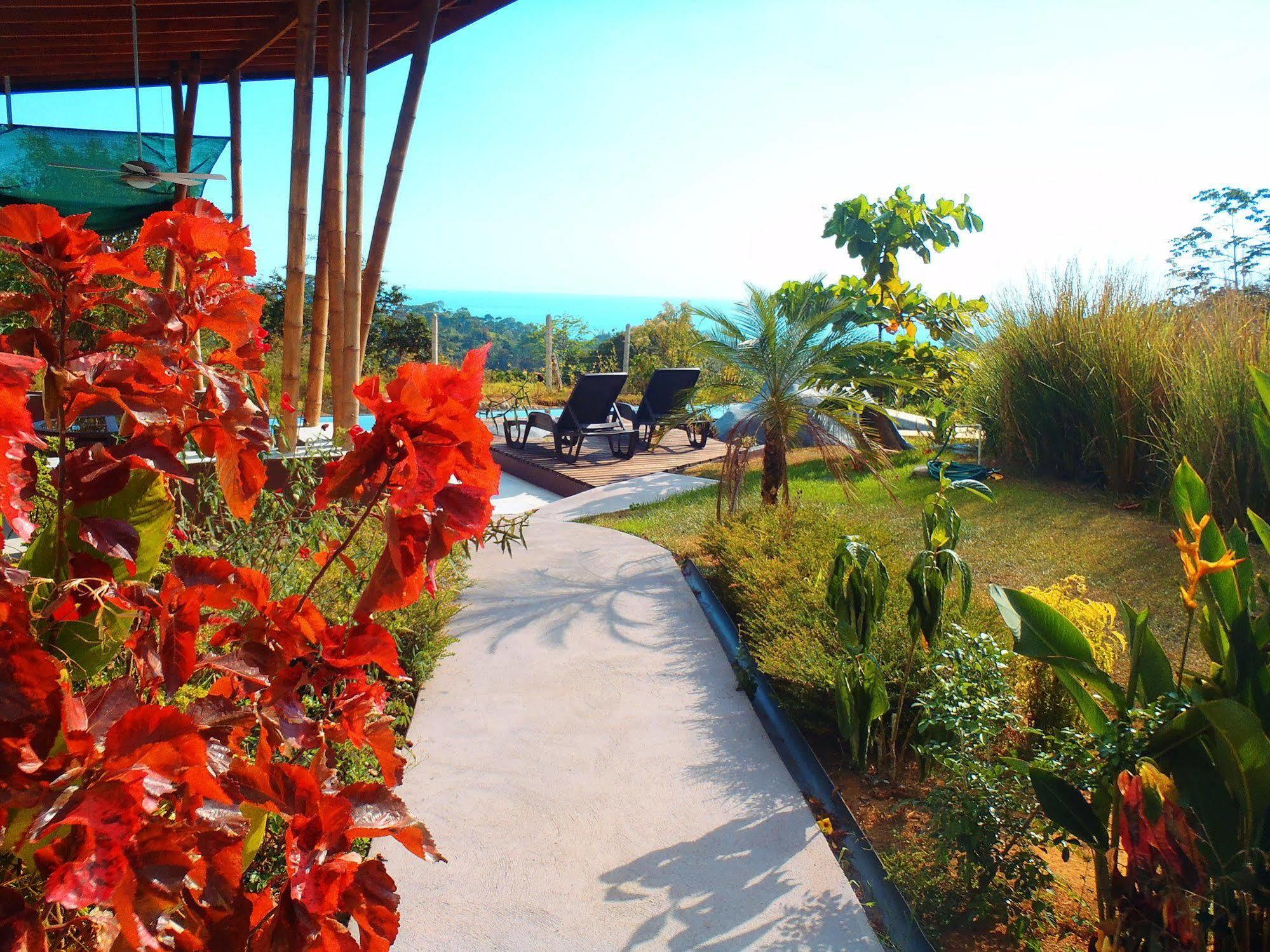 Eden Tica Lodge Uvita Kültér fotó