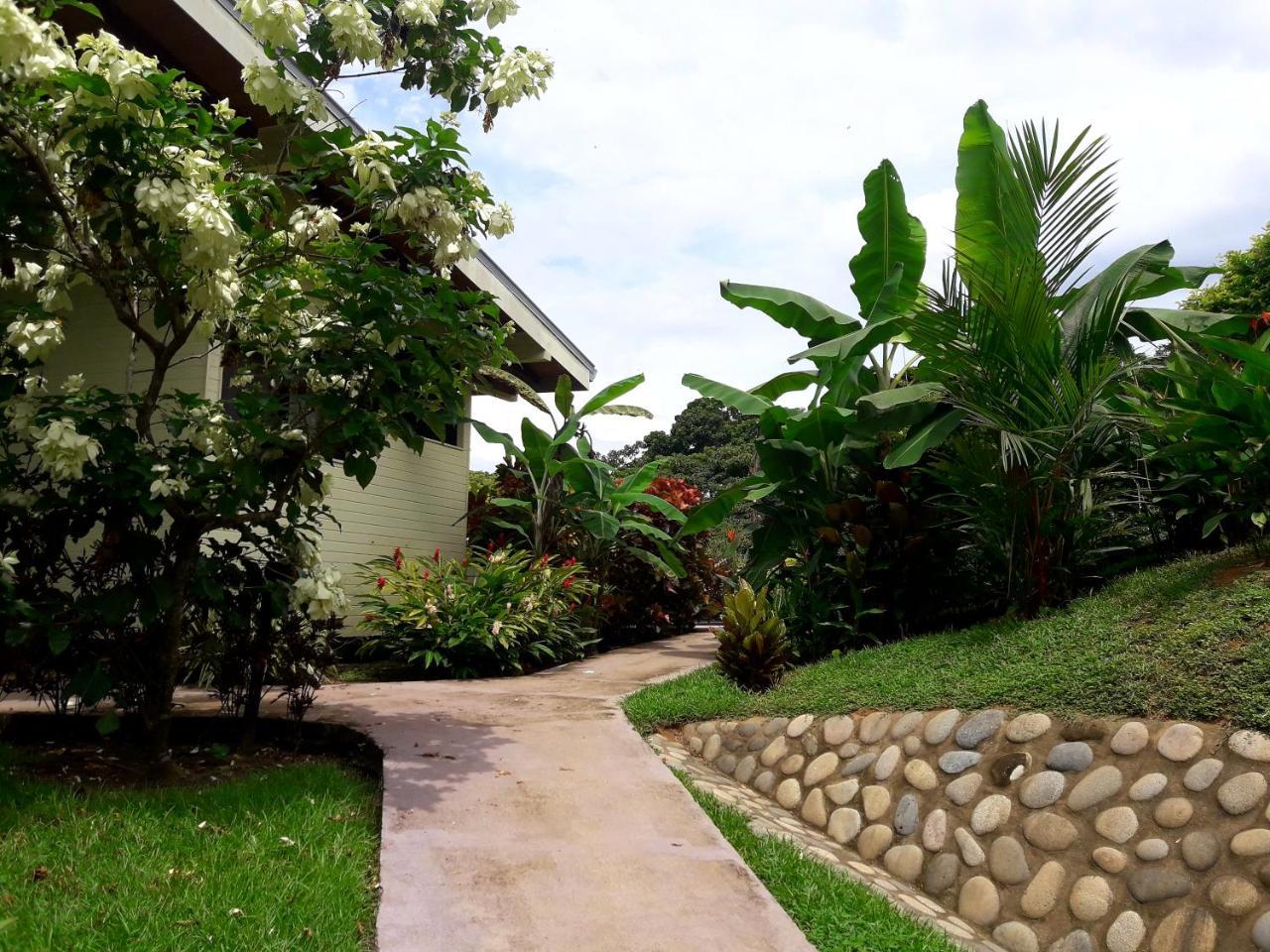 Eden Tica Lodge Uvita Kültér fotó