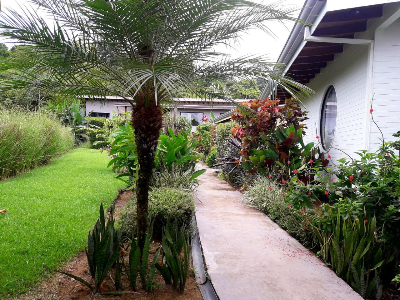 Eden Tica Lodge Uvita Kültér fotó