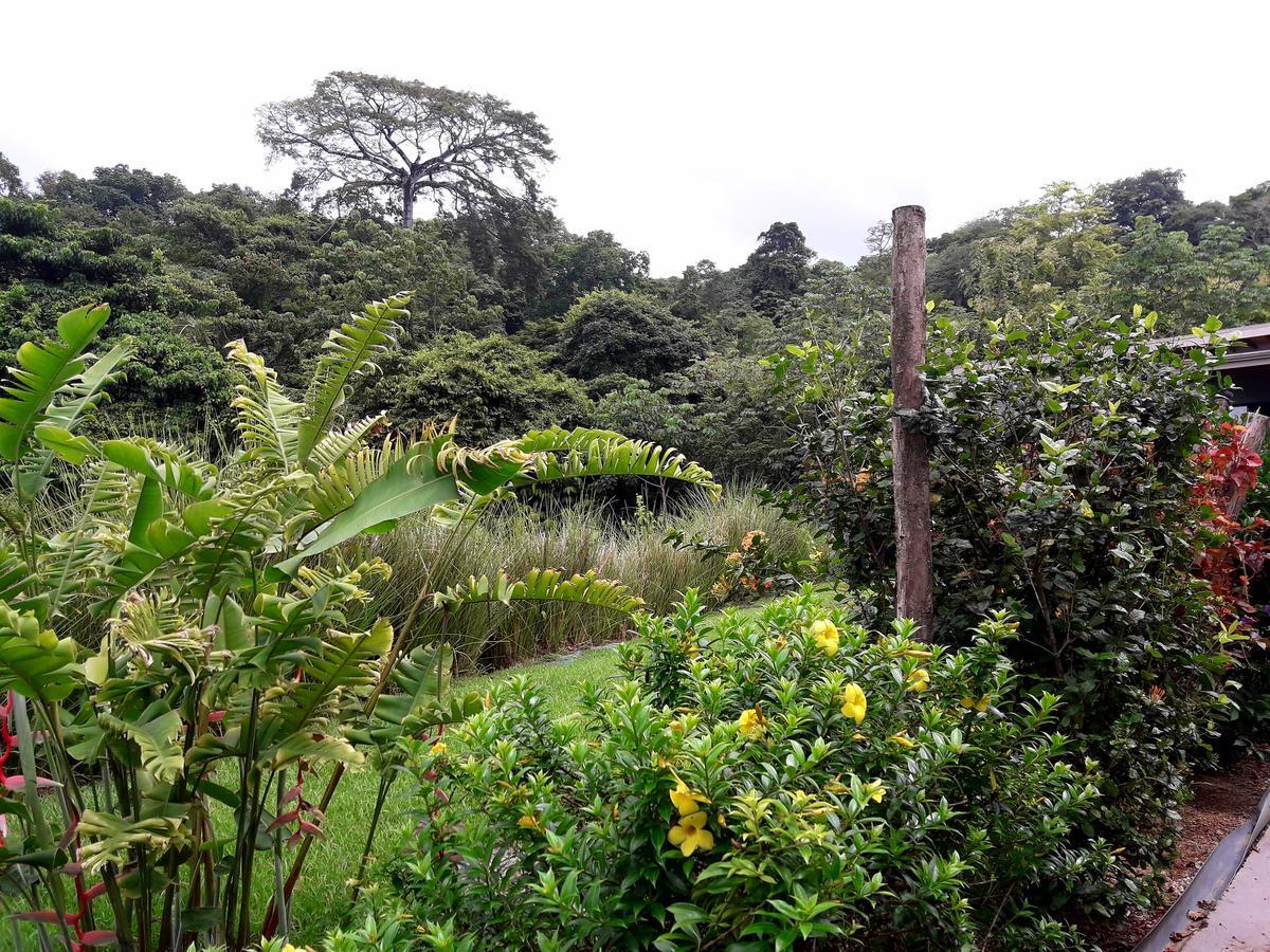 Eden Tica Lodge Uvita Kültér fotó