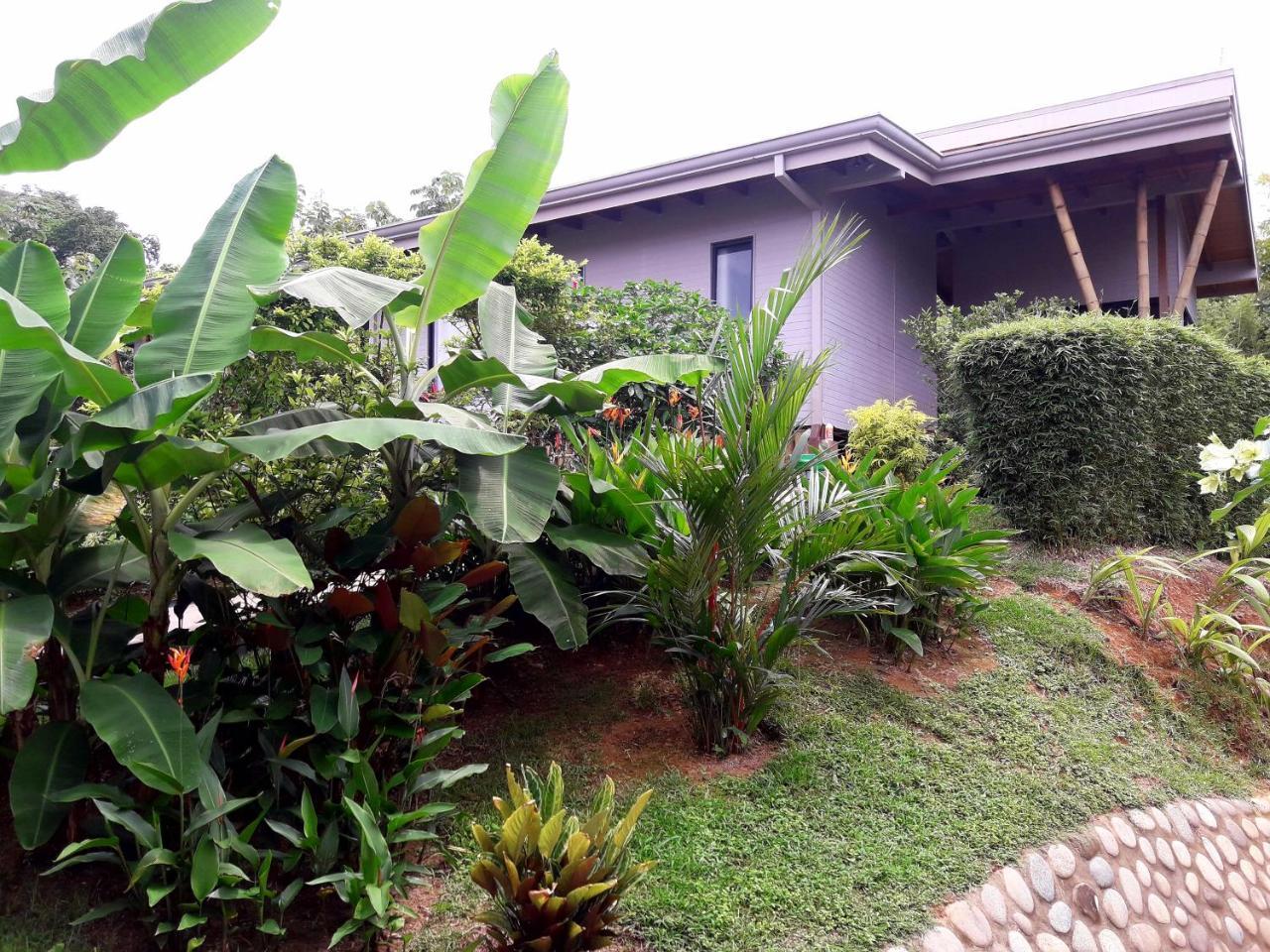 Eden Tica Lodge Uvita Kültér fotó